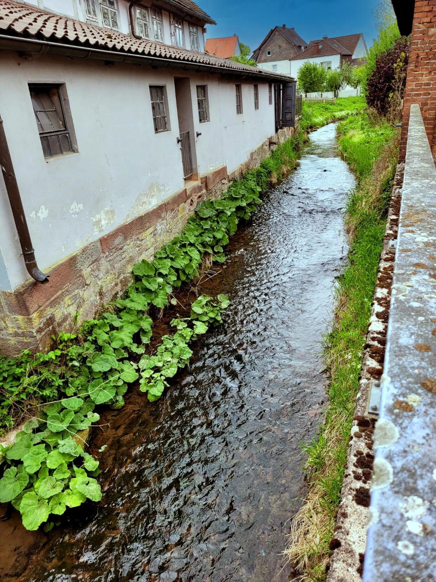 Ferienwohnung Zum Sollingtor Dassel Extérieur photo